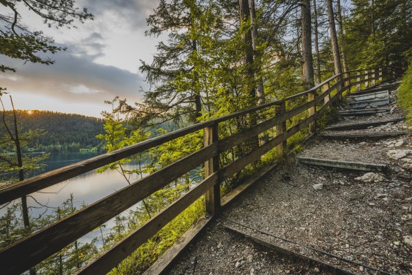 Scheffau_Hintersteiner See_Waldweg_Stufen_Sommer