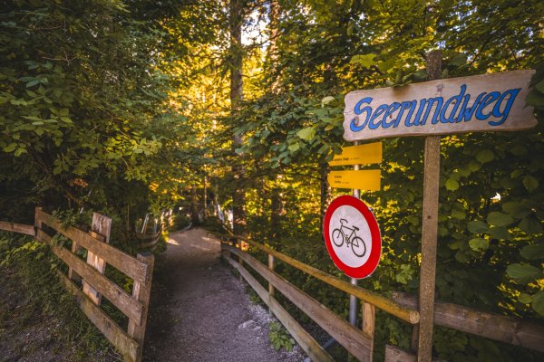 Scheffau_Hintersteiner See_Sommer_Seerundweg_Eingang