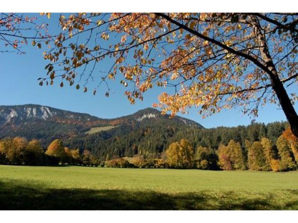 Söll_Pölven_Wilder Kaiser