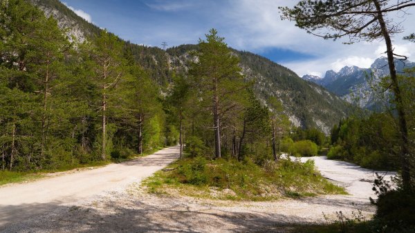 Scharnitz - Wanderung Dorfrunde - Weg bei Gießenbach (1).jpg