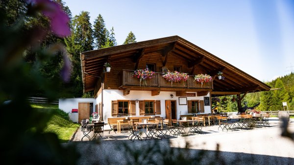 Bodenalm im Sommer (4).jpg