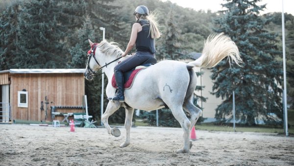 "Nairz" riding facilities near Menthof