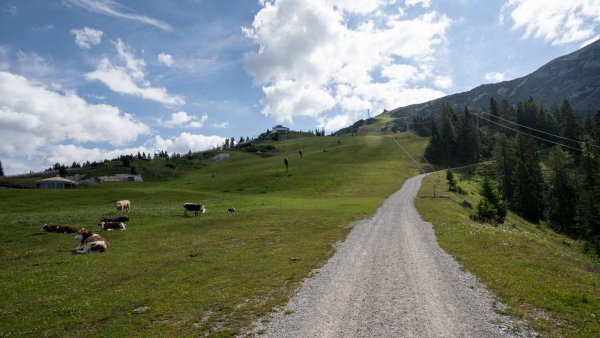 Biketour No. 5027 Rosshütte