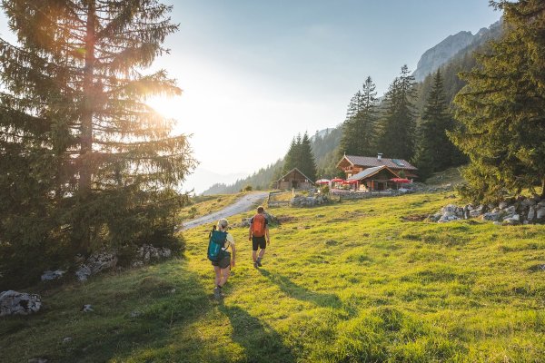 Scheffau_Steiner-Hochalm_Wilder Kaiser
