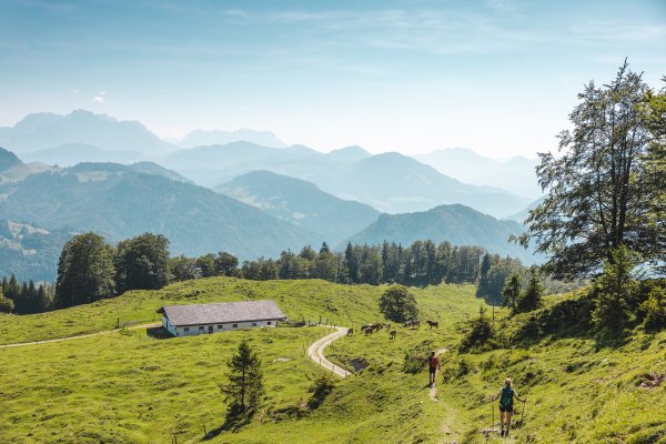 Kirchdorf_Scheibenbichlalmen_Kaiserkrone_Etappe 4_Wilder Kaiser