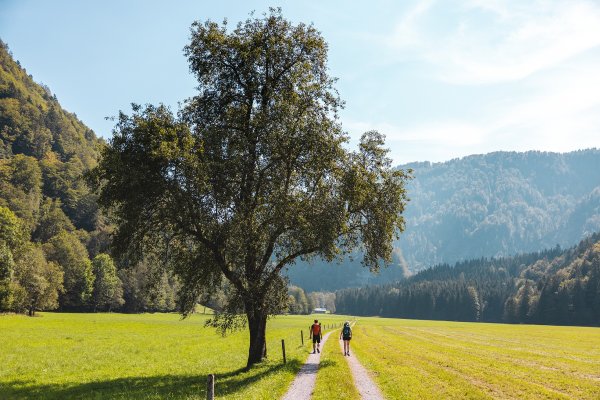 Griesenau_Kaiserkrone_Etappe 4_Wilder Kaiser