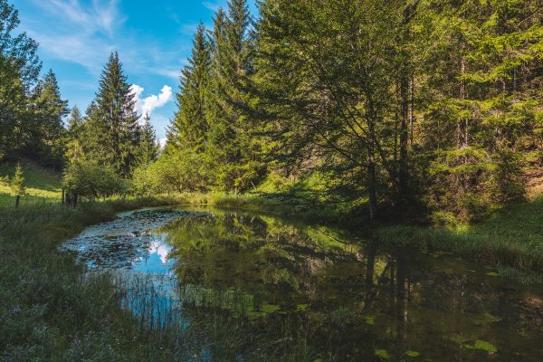 Kirchdorf_Kaiserkrone_Etappe 4_Wilder Kaiser