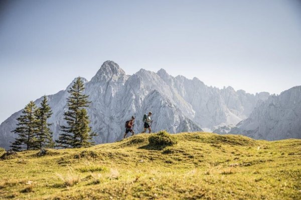 Kaiserbachtal - Feldberg - Stripsenjoch