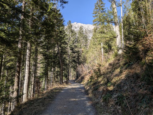 Scheffau_Forstweg_Leiten-Gaisberg_Winter_Frühling