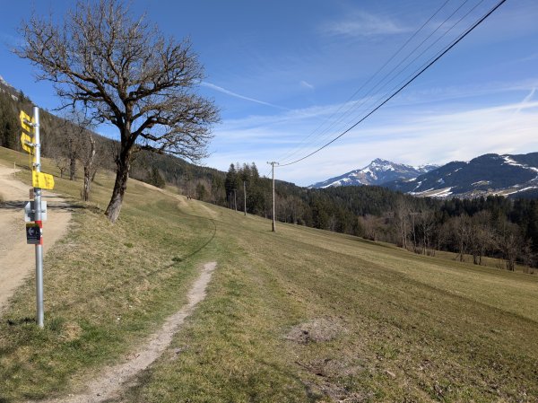 Scheffau_Feldweg_Schiessling_Winter_Frühling