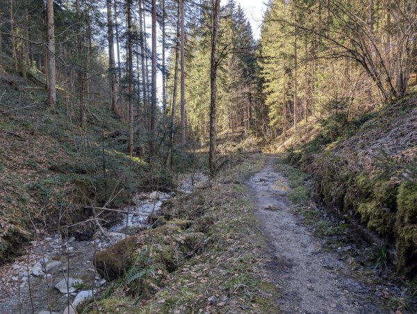 Scheffau_Wanderweg_Treffauerbach_Winter_Frühling