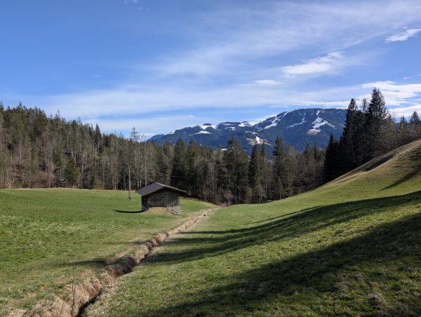 Scheffau_Seebachgraben_Wiesenweg_März