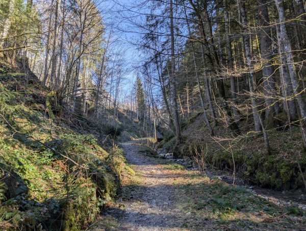 Scheffau_Wanderweg_Treffauerbach_Winter_Frühling