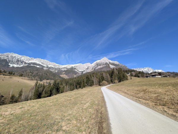 Scheffau_Ötting_Kaisern_Fahrweg_Kaiserblick_Winter_Frühling