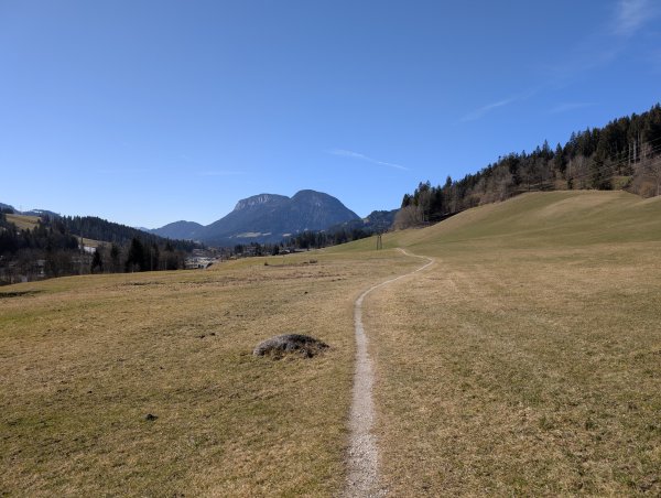 Scheffau_Niederachen_Feldweg nach Scheffau_Winter_Frühling