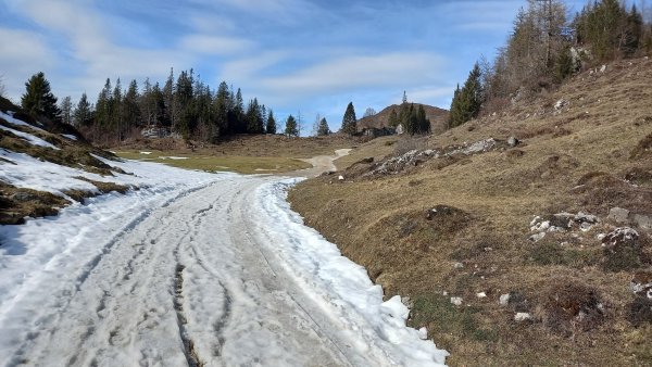 Scheffau_Walleralm_Forstweg_mit Schnee_Februar_März.jpg
