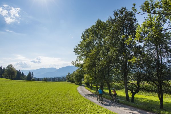 Around the Dobratsch (optional with bike shuttle)