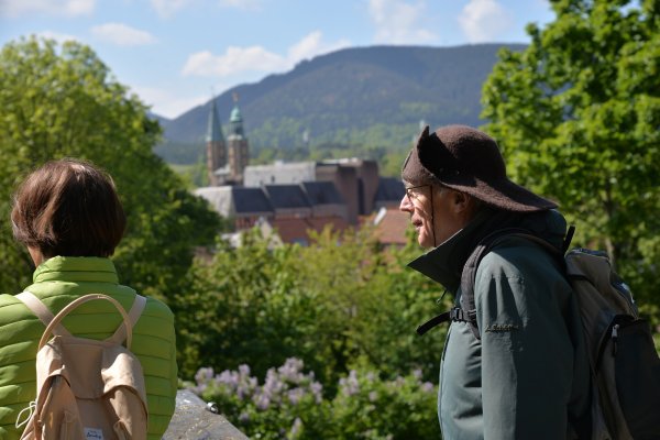Harzer Klosterwanderweg - 1. Etappe - Goslar bis Vienenburg