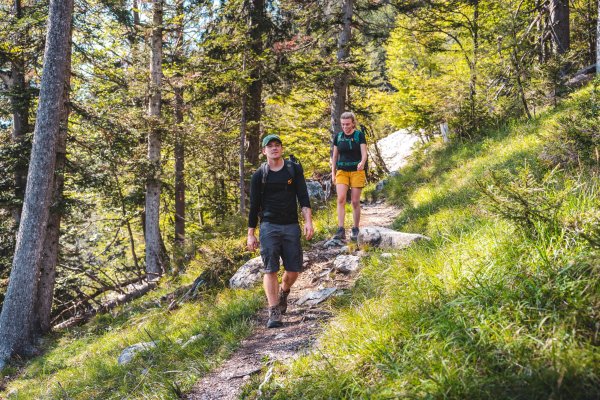 Scheffau_Wandern_Wald_Jagersteig