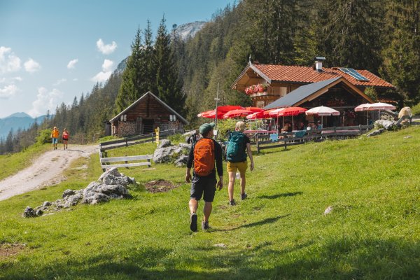 Scheffau_Wandern_Steiner_Hochalm