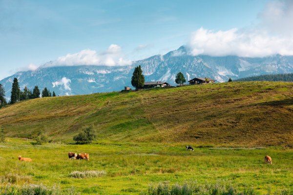 Ellmau_Elferweg_Blinzalm_Wilder Kaiser