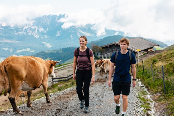 Ellmau_Elferweg_Wilder Kaiser
