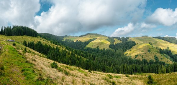 Ellmau_Elferweg_Almenlandschaft_Wilder Kaiser