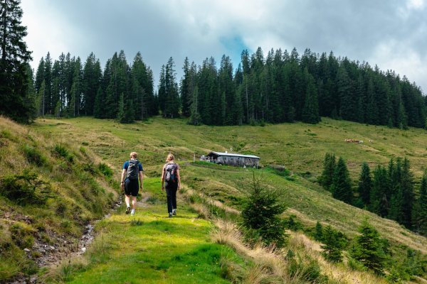 Ellmau_Elferweg_Schwendteralm_Wilder Kaiser