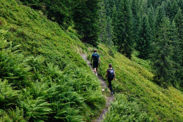 Ellmau_Elferweg_Wilder Kaiser