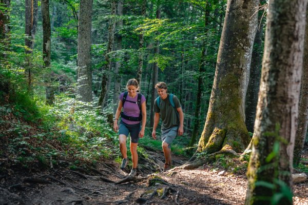 Scheffau_ Weg Nr. 45a_Wilder Kaiser