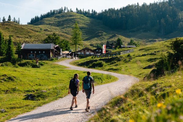 Scheffau_Walleralm_Wilder Kaiser