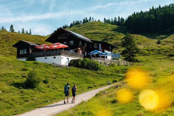 Scheffau_Walleralm_Wilder Kaiser