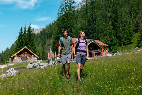 Scheffau_Steiner-Hochalm_Wilder Kaiser