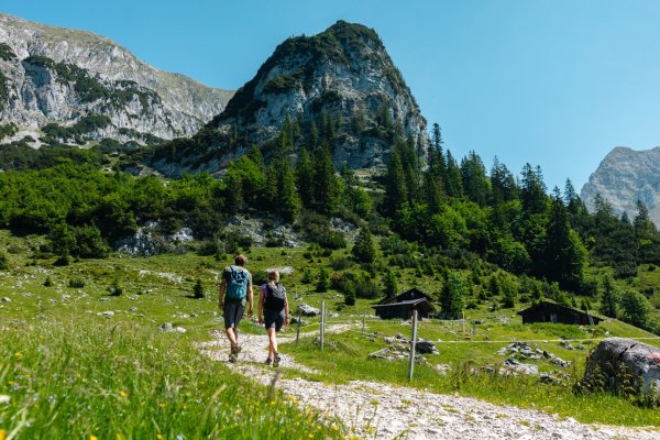 Scheffau_Kaiser-Hochalm_Wilder Kaiser