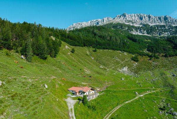 Scheffau_Kaiseralm_Wilder Kaiser