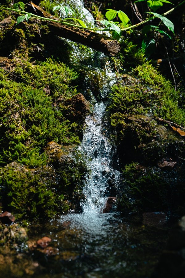 Scheffau_Rehbachklamm_Wilder Kaiser