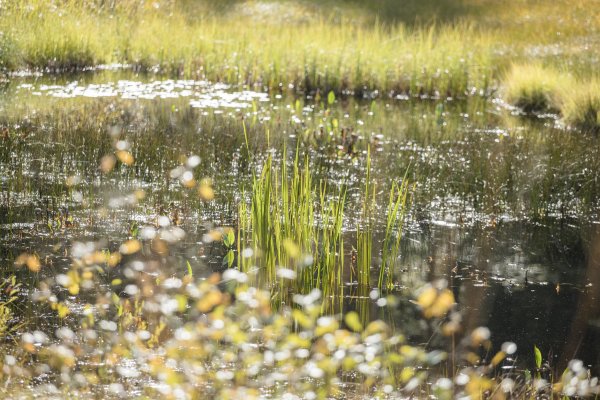 Going_Moor & More_Wilder Kaiser