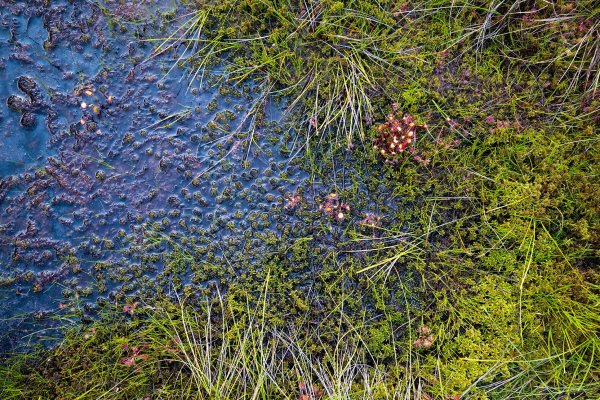 Going_Landschaft_Moorgebiet_Wilder Kaiser
