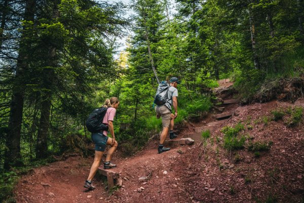 Going_ Weg Nr. 818_Wilder Kaiser