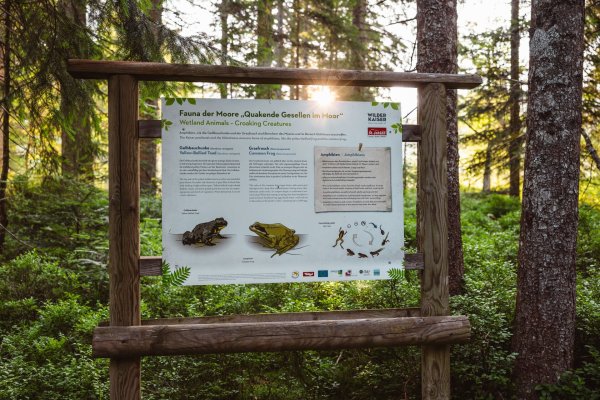 Going_Moor & More_Wilder Kaiser