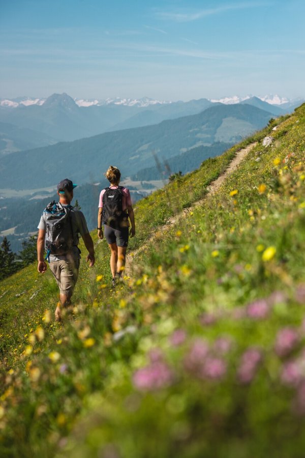 Going_Weg Nr. 827_Wilder Kaiser