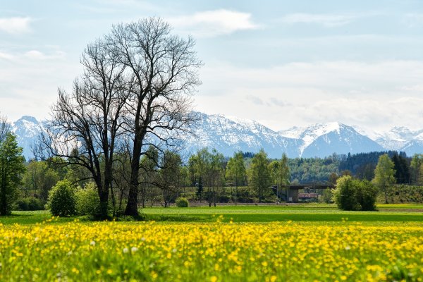 Himmlisch genießen - Genussradeln von der Ammer zum Lech